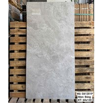 Gạch Việt Ý 60x120 bóng G61201P