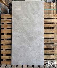 Gạch Việt Ý 60x120 bóng G61201P