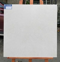 Gạch lát nền Viglacera 60x60 mờ ASD 6627GM