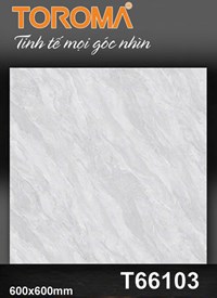 Gạch lát nền Tô Thành Phát 60x60 bóng T66103
