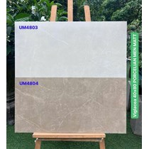 Gạch ốp tường Viglacera 40x80 mờ UM4803-UM4804