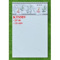 Gạch ốp tường giá rẻ 25x40 KTS58V