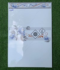 Gạch ốp tường giá rẻ 300x600 K319