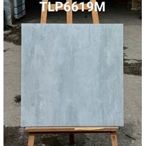 Gạch lát nền Granite Vitaly 60x60 mờ TLP6619M