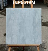 Gạch lát nền Granite Vitaly 60x60 mờ TLP6619M