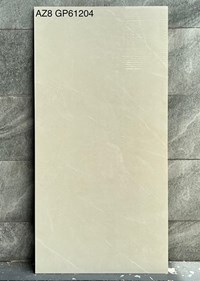 Gạch Viglacera 60x120 AZ8-GP61204