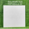 Gạch lát nền Tasa 80x80 mờ FST.9054