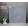 Gạch lát nền Tasa 120x120 9503