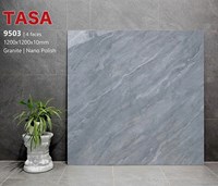 Gạch lát nền Tasa 120x120 9503