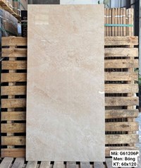 Gạch Việt Ý 60x120 bóng G61206P
