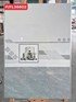 Gạch ốp tường Hà Thanh 30x60 bóng FL36602