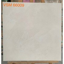Gạch lát nền Granite Vitaly 60x60 mờ VSM 66009