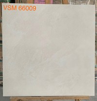 Gạch lát nền Granite Vitaly 60x60 mờ VSM 66009