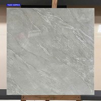 Gạch lát nền Viglacera 80x80 TS25 VGP812