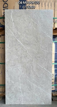 Gạch ốp lát Á Mỹ 60x120 mờ CT3269