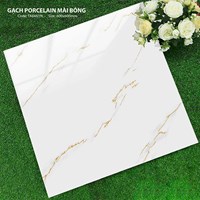 Gạch lát nền Hà Thanh 60x60 TK6651N