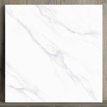 Gạch lát nền Catalan 100x100 10015