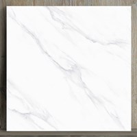 Gạch lát nền Catalan 100x100 10015