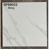 Gạch lát nền Taicera 80x80 GP88022