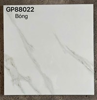 Gạch lát nền Taicera 80x80 GP88022