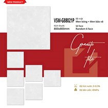 Gạch lát nền Việt Ý 80x80 bóng VSM-G88021P