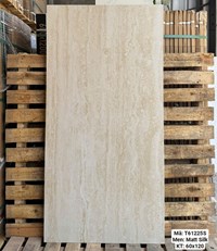 Gạch Việt Ý 60x120 mờ T61225S