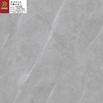 Gạch lát nền Prime 100x100 12102
