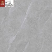 Gạch lát nền Prime 100x100 12102