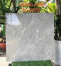 Gạch lát nền Tasa 80x80 8559