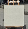 Gạch lát nền Granite Vitaly 60x60 mờ TLP6613M