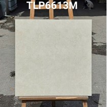 Gạch lát nền Granite Vitaly 60x60 mờ TLP6613M