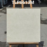 Gạch lát nền Granite Vitaly 60x60 mờ TLP6613M