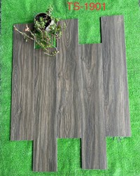 Gạch giả gỗ Tasa 15x80 TS-1901