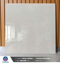 Gạch lát nền Viglacera 80x80 VHP26 GP8803