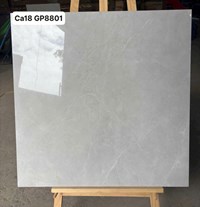 Gạch lát nền Viglacera 80x80 CA18 GP8801
