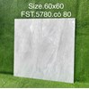 Gạch lát nền Tasa 60x60 bóng FST.5780