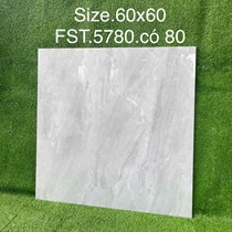 Gạch lát nền Tasa 60x60 bóng FST.5780