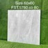 Gạch lát nền Tasa 60x60 bóng FST.5780