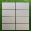 Gạch ốp tường Apodio 30x60 mờ A36NG302
