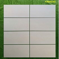 Gạch ốp tường Apodio 30x60 mờ A36NG302