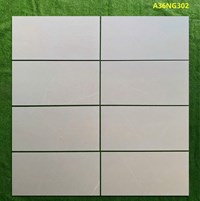 Gạch ốp tường Apodio 30x60 mờ A36NG302
