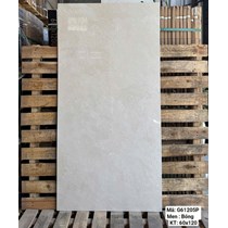Gạch Việt Ý 60x120 bóng G61205P