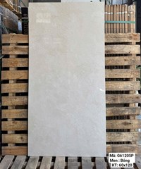 Gạch Việt Ý 60x120 bóng G61205P