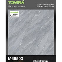 Gạch lát nền Tô Thành Phát 60x60 bóng M66503