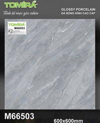 Gạch lát nền Tô Thành Phát 60x60 bóng M66503