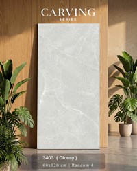 Gạch Ấn Độ 60x120 mờ 3403