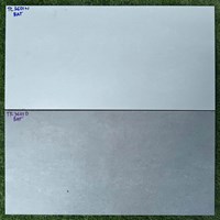 Đá ốp tường Vitaly 30x60 TK3601N-TK3601D