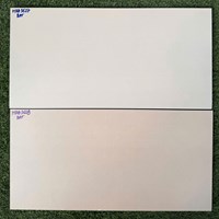 Đá ốp tường Vitaly 30x60 mờ HPD3627-HPD3628