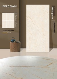 Gạch Ấn Độ 60x120 mờ VC12668