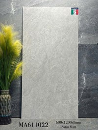 Gạch ốp lát Apodio 60x120 mờ MA611022